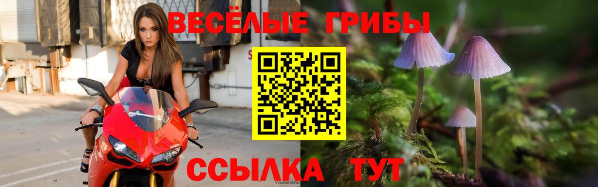 Галлюциногенные грибы Magic Shrooms  Вход с VPN  Коломна  Галлюциногенные грибы прущие грибы 
